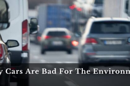 Why Cars Are Bad For The Environment