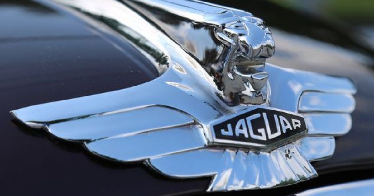 Jaguar Car Hood Ornament