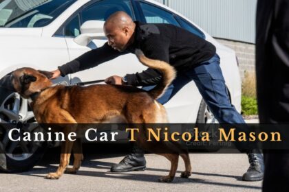 Canine Car T Nicola Mason