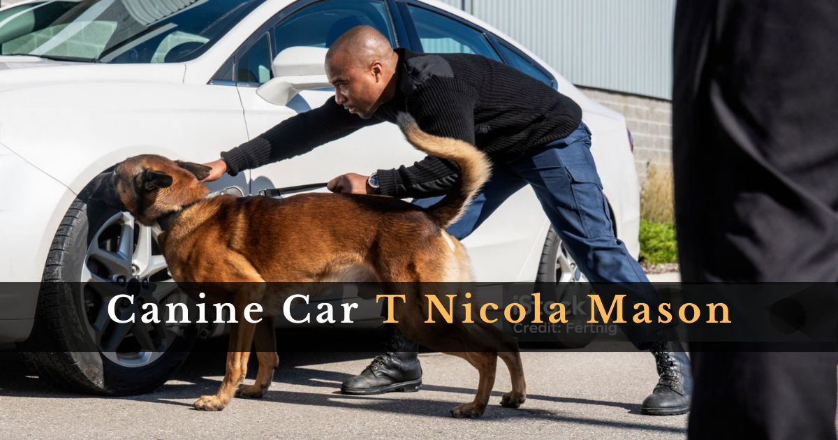 Canine Car T Nicola Mason